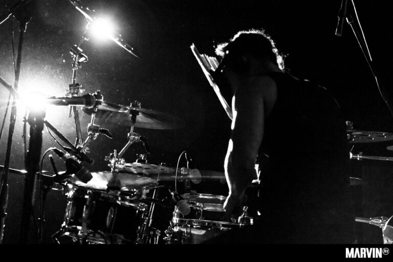 Papión Sagrado en Fundación Sebastián