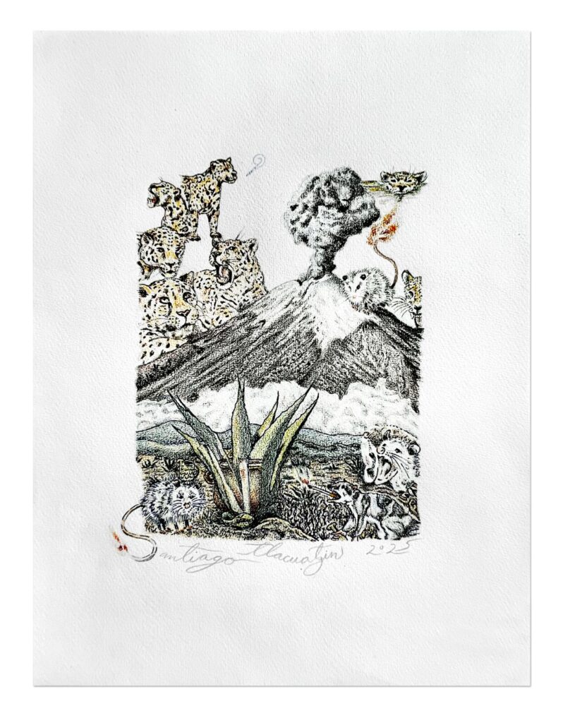 Amoxcalli de Santiago Robles en La Garza 4 PHOTO 2025 09 28 18 16 38