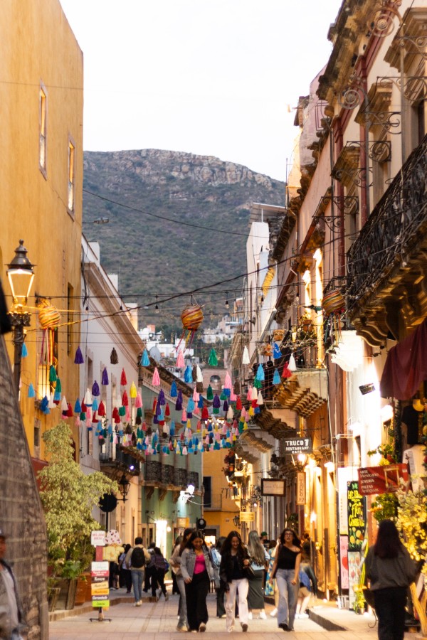 festival internacional cervantino 2025 cronica arte cultura 35