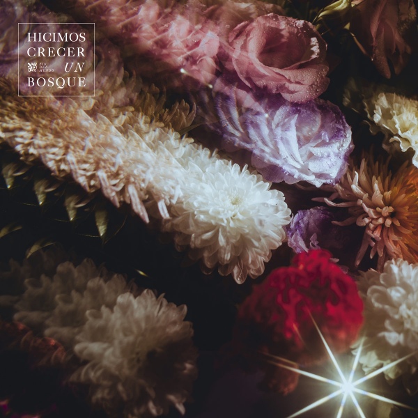 fin del mundo argentina tour mexico hipnosis 2