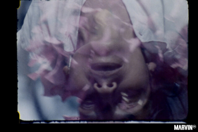 Miradas del Cine Experimental Mexicano en Cineteca