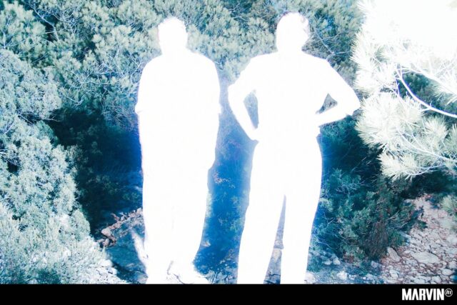 soulwax-all-systems-are-lying-album-resena