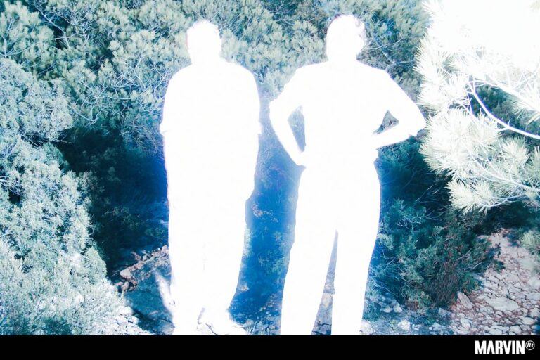 soulwax-all-systems-are-lying-album-resena