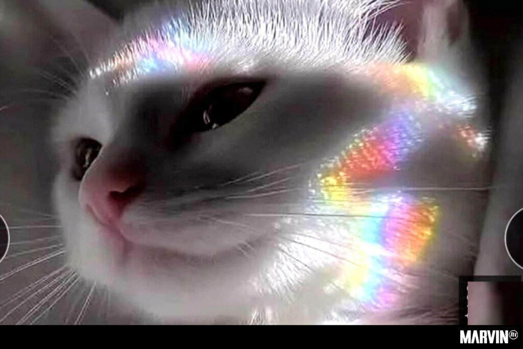 Ün y Nanda en 33 Un Tercio