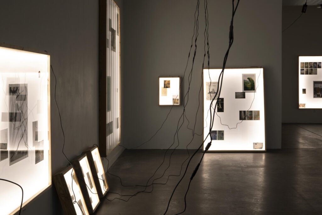 Entre Azul y Buenas Noches en Koik 7 Koik 22 1