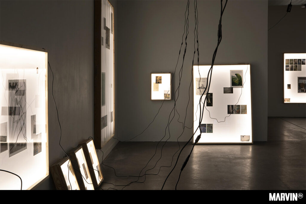 Entre Azul y Buenas Noches en Koik