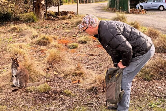 Café Marvin y las dulces picaduras con Peter Knight