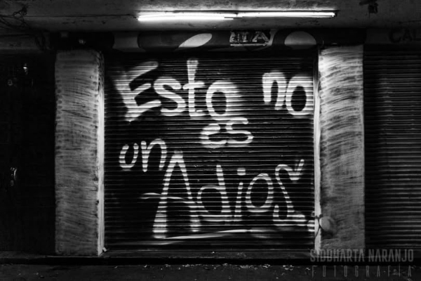 el alicia multiforo 30 anos rock mexicano 2