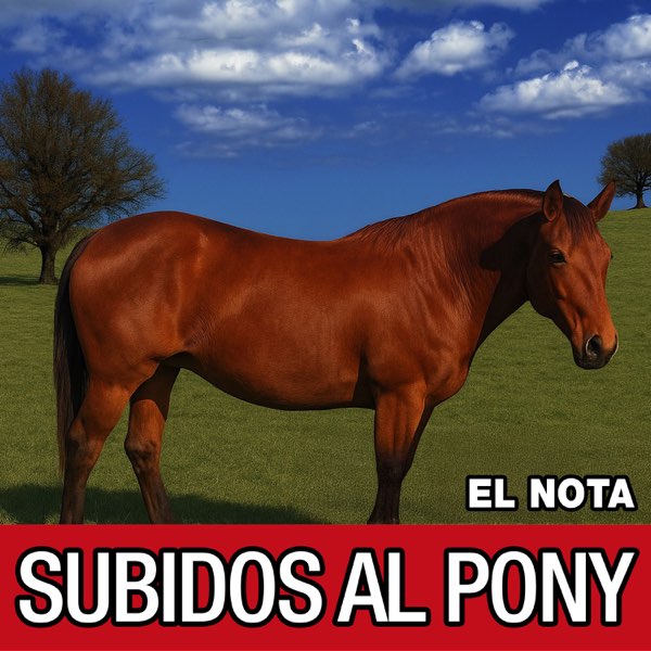 Los álbumes más destacados de 2025 según la REDPEM (Parte 2) 4 El Nota Subidos al pony