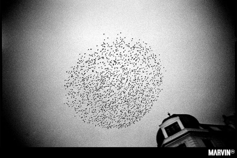 Samahdi en 33 Un Tercio