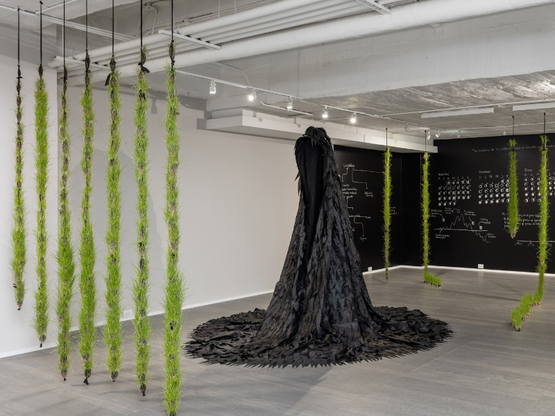 Zona MACO La Balsa Arte