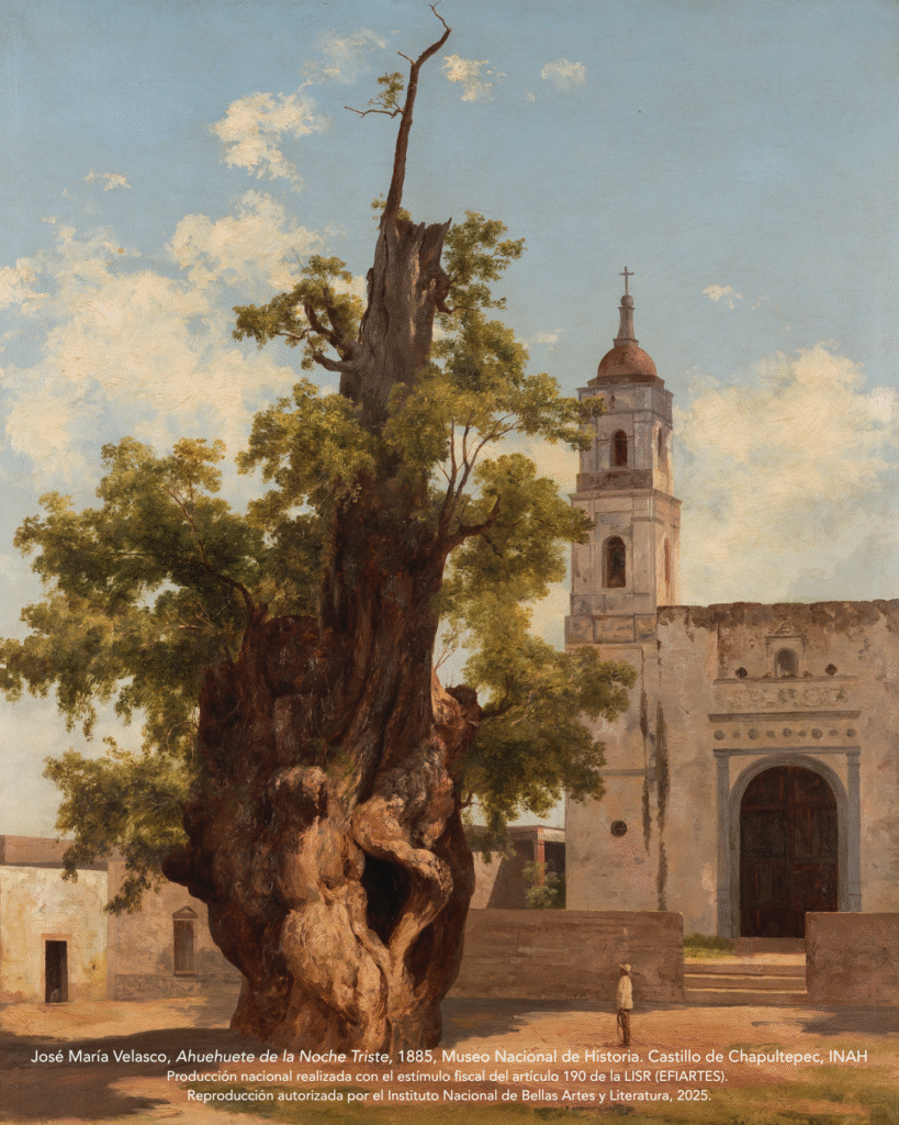 Jan Hendrix y Vía Láctea 1 Ajolotin