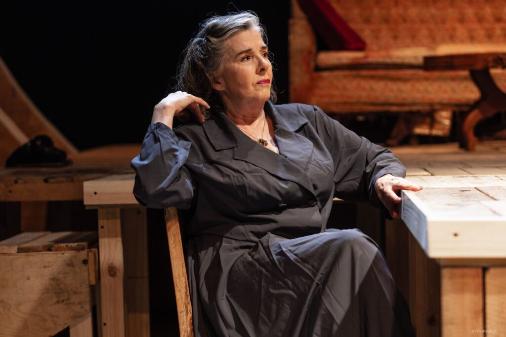 ZOO CRISTAL BY PILIPALA 05 scaled 1