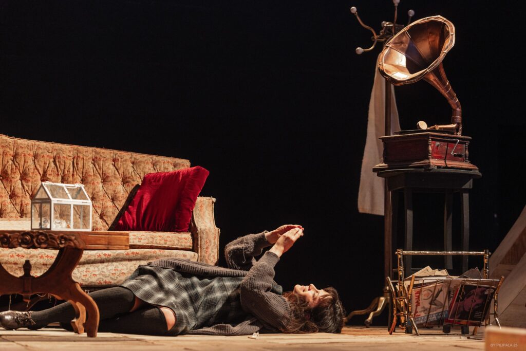 ZOO CRISTAL BY PILIPALA 15 scaled 1