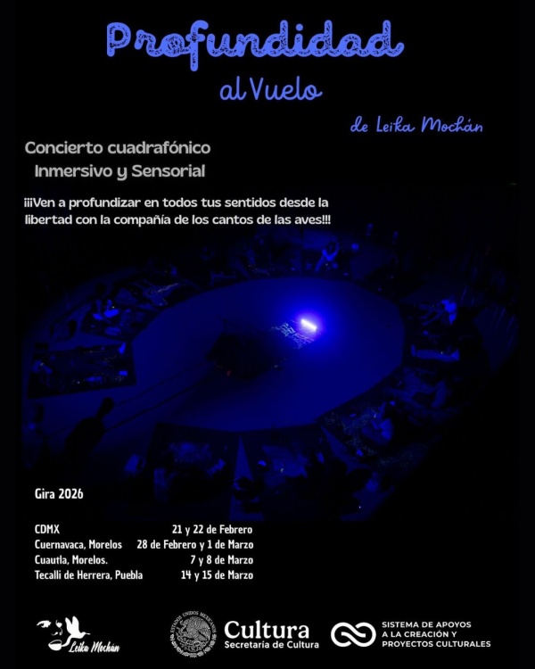 profundidad al vuelo leika mochan conciertos 1