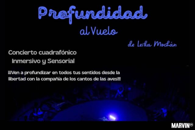 Profundidad al Vuelo: Un paisaje sonoro cuadrafónico