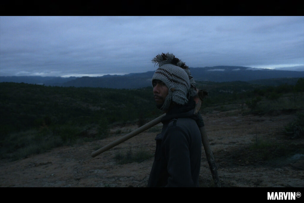 Ambulante en Morelos