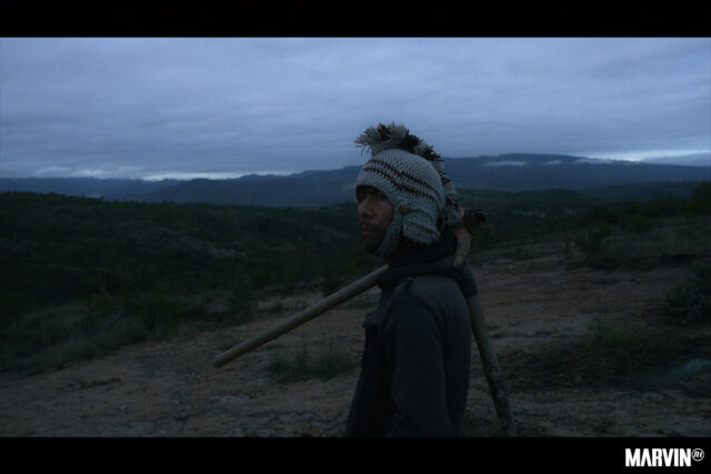 Ambulante en Morelos