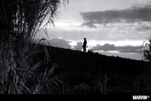 Cine México, homenaje al cine mexicano