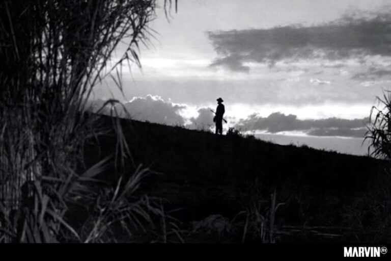Cine México, homenaje al cine mexicano