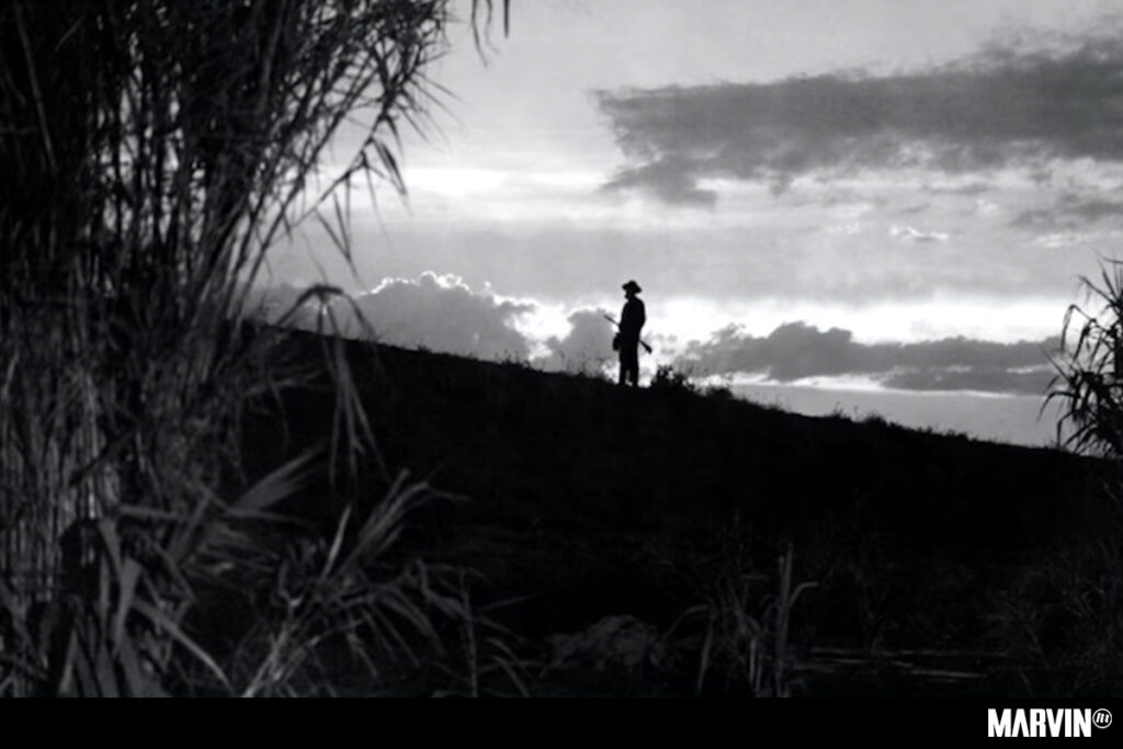 Cine México, homenaje al cine mexicano