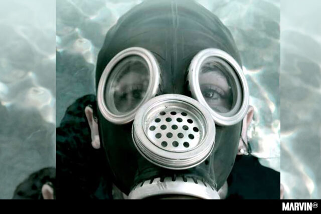 Planeta Complejo  Diversidad en CCD