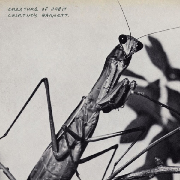 courtney barnett creature of habit album mantis 1