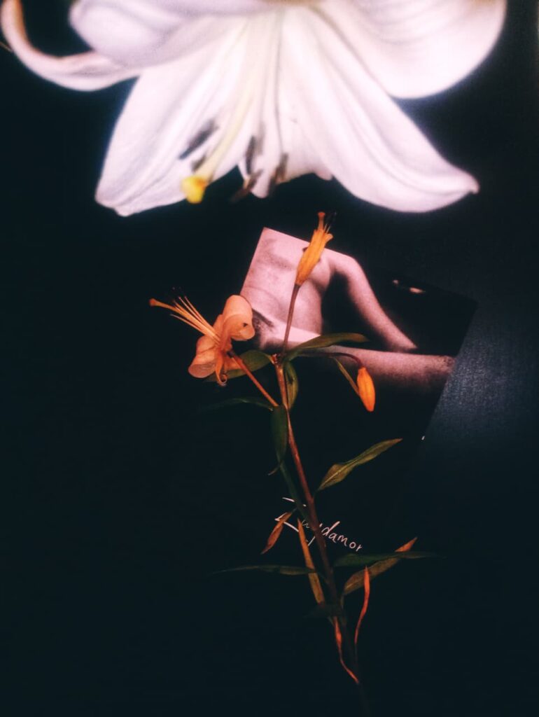 Nada que Ver, expo de Zaydamor por One Photo Project 4 z5