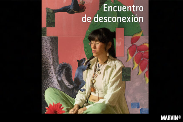 Jornada de Desconexión Digital en Quinta Colorada