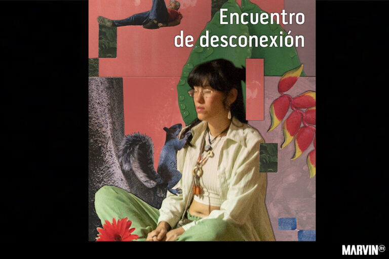 Jornada de Desconexión Digital en Quinta Colorada