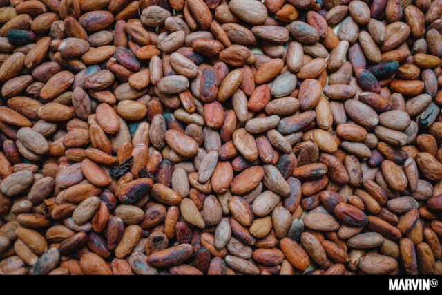 Museo del Cacao y Chocolate Año 1
