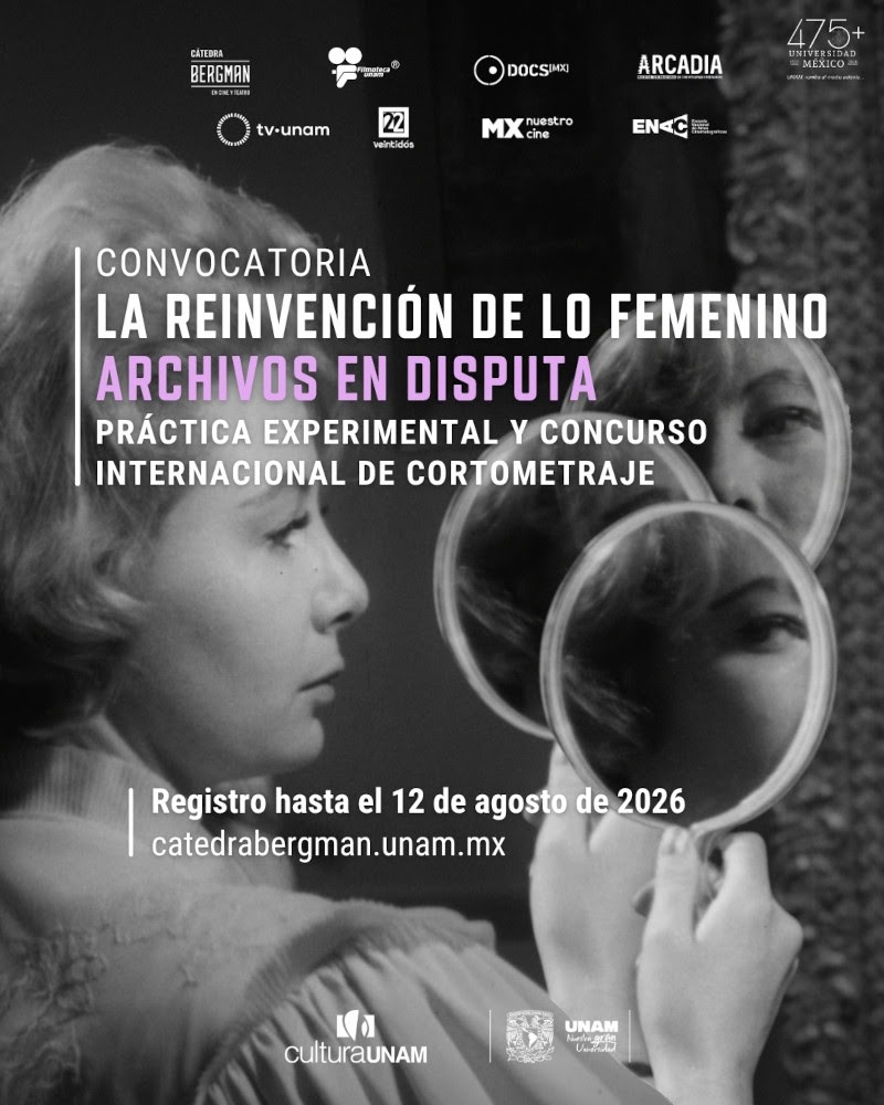 Práctica Experimental y Concurso Internacional de Cortometraje 1 Flyer Bergman cat