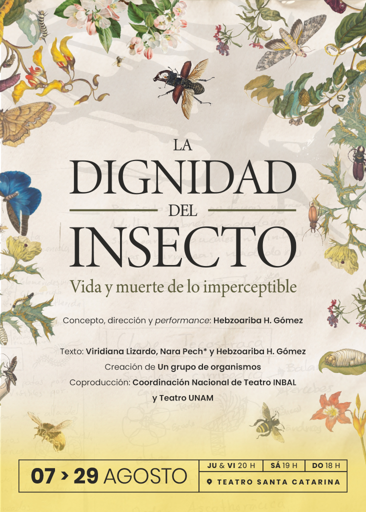 LDDI EstampaWeb 1