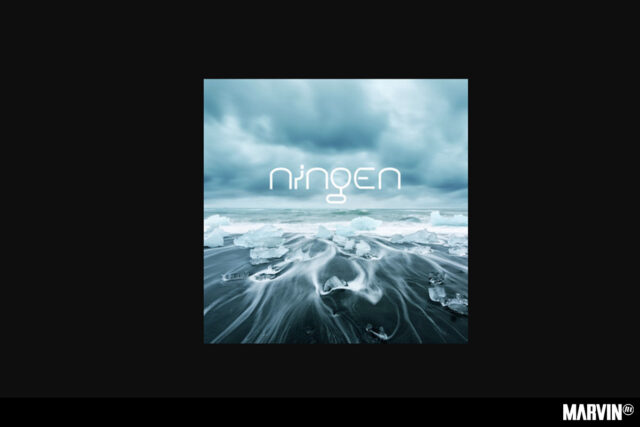 Ningen en Microforo Expo