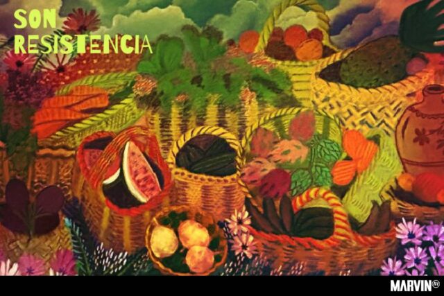Festival Son Resistencia: Tradición contemporánea en el Complejo Cultural Los Pinos