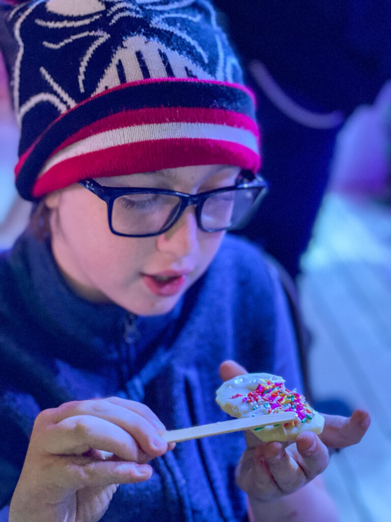 cookie decorating