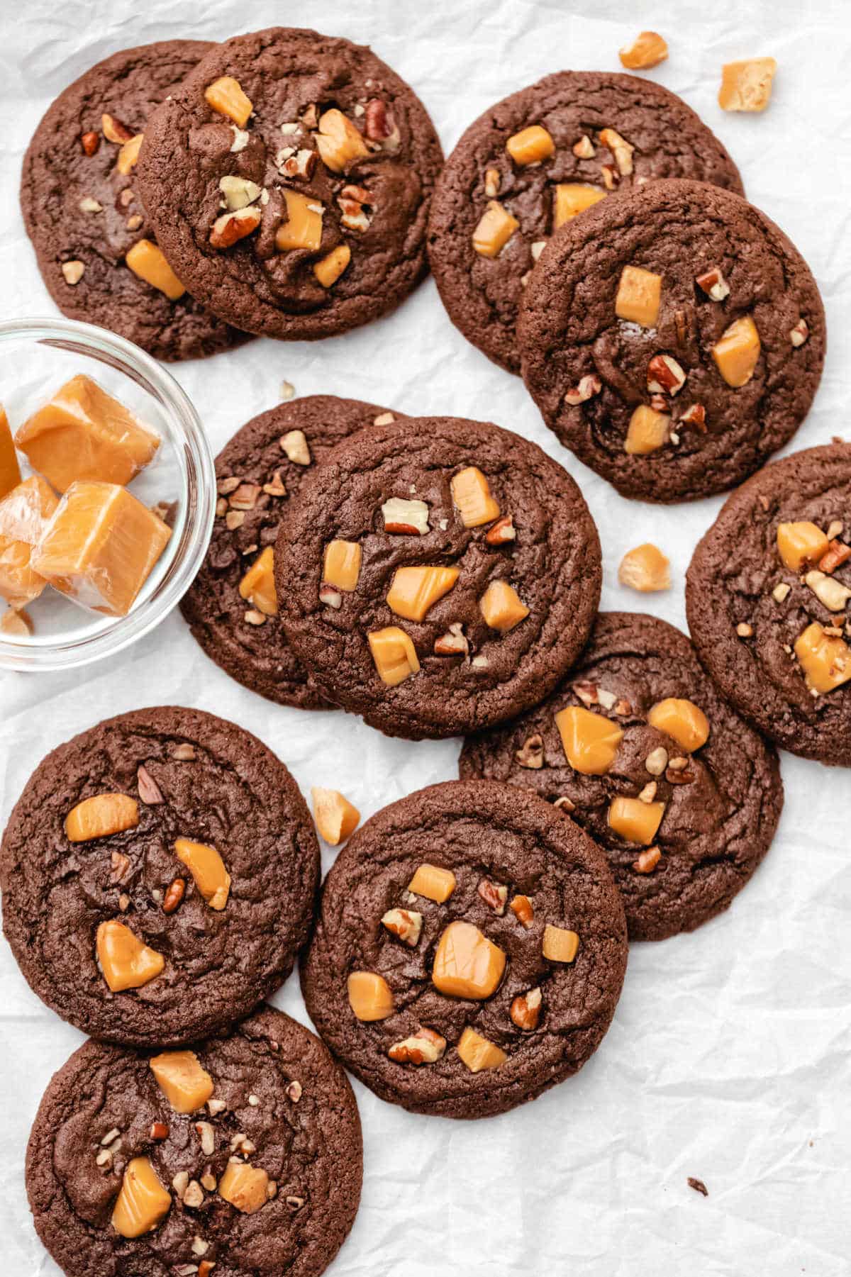 Image for Turtle Cookies