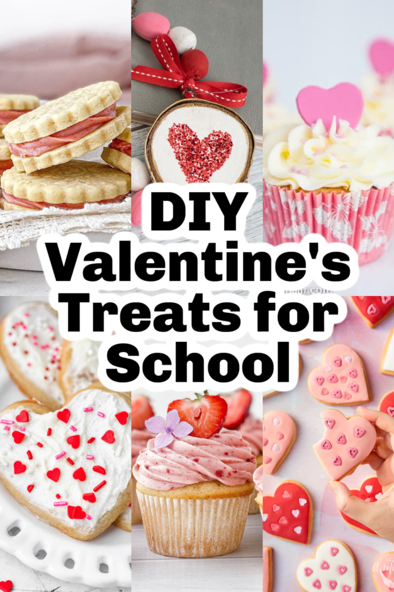 27 DIY Valentine's Treats for School Mom Junky