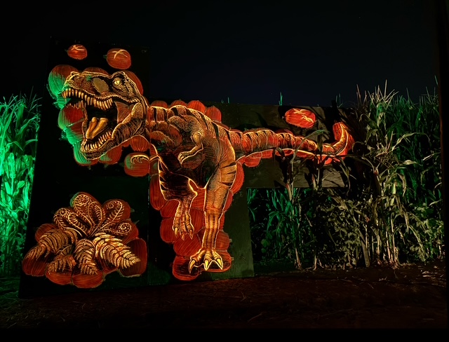 Latest Featured Article - November 7, 2025