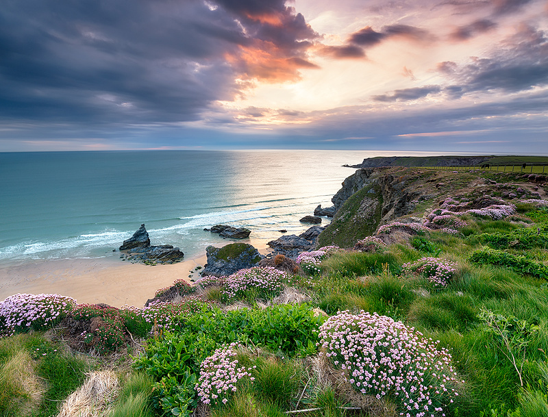 Best Cornwall Holiday Parks Near the Beach (2025 Guide)