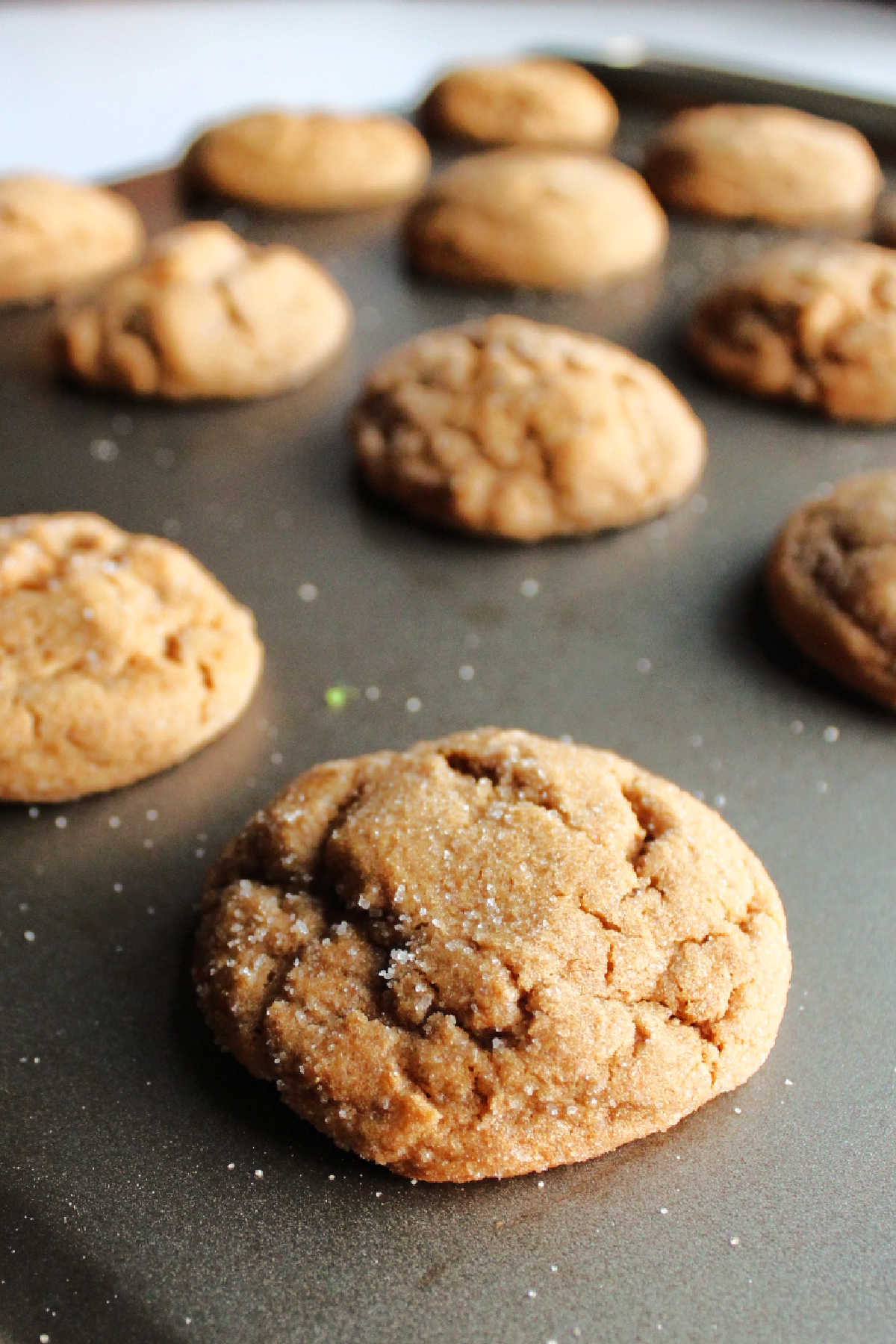 Image for Soft and Spicy Molasses Cookies