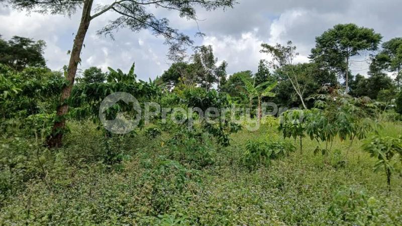 Land for sale Kiwooko luwero Luweero Central - 0