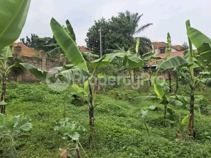 Land for sale Naalya  Kampala Central Kampala Central - 5