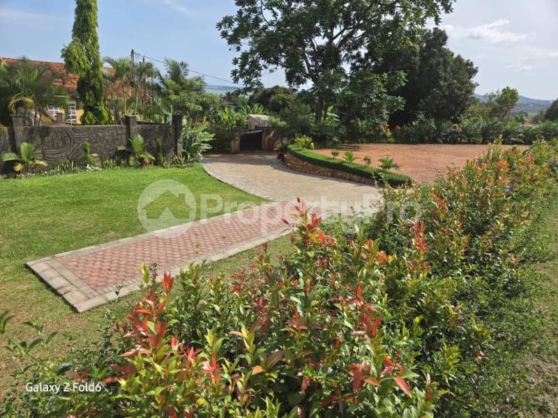Land for sale Lubowa hill Kampala Central Kampala Central - 6