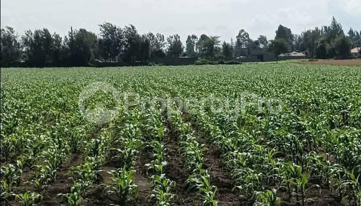 Land for sale Nakuru East Nakuru