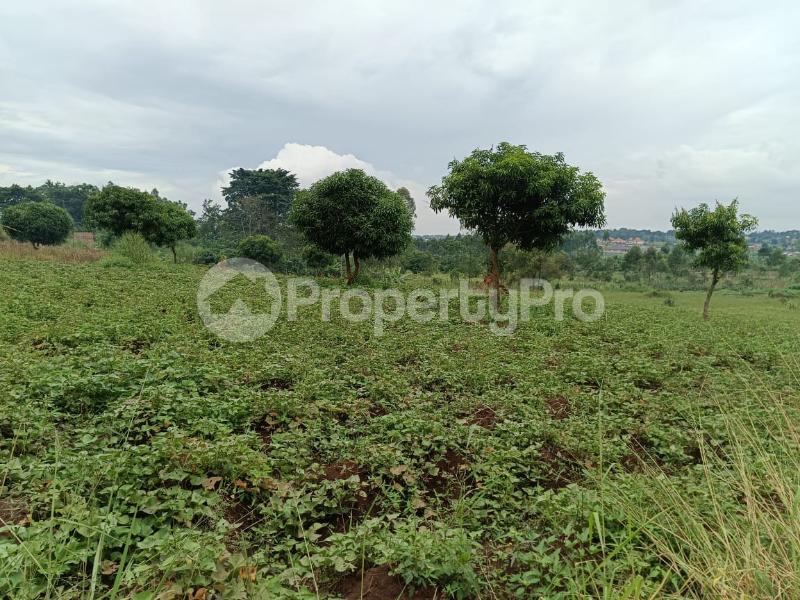 Land for sale Kira  Kampala Central Kampala Central - 2