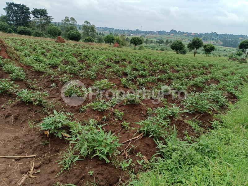 Land for sale Kira  Kampala Central Kampala Central - 1