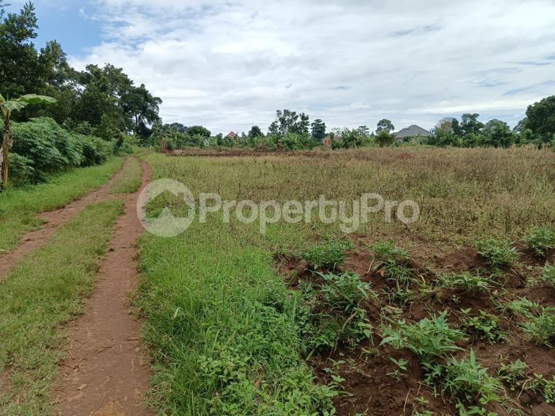 Land for sale Kira  Kampala Central Kampala Central - 3