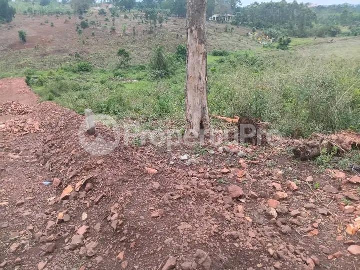 Commercial Property for sale Gayaza nakasajja  Gayaza Wakiso Central - 2