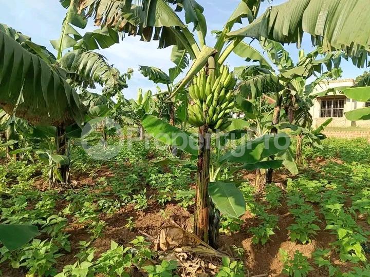 Land for sale Seeta bajjo road  Kampala Central Kampala Central - 4